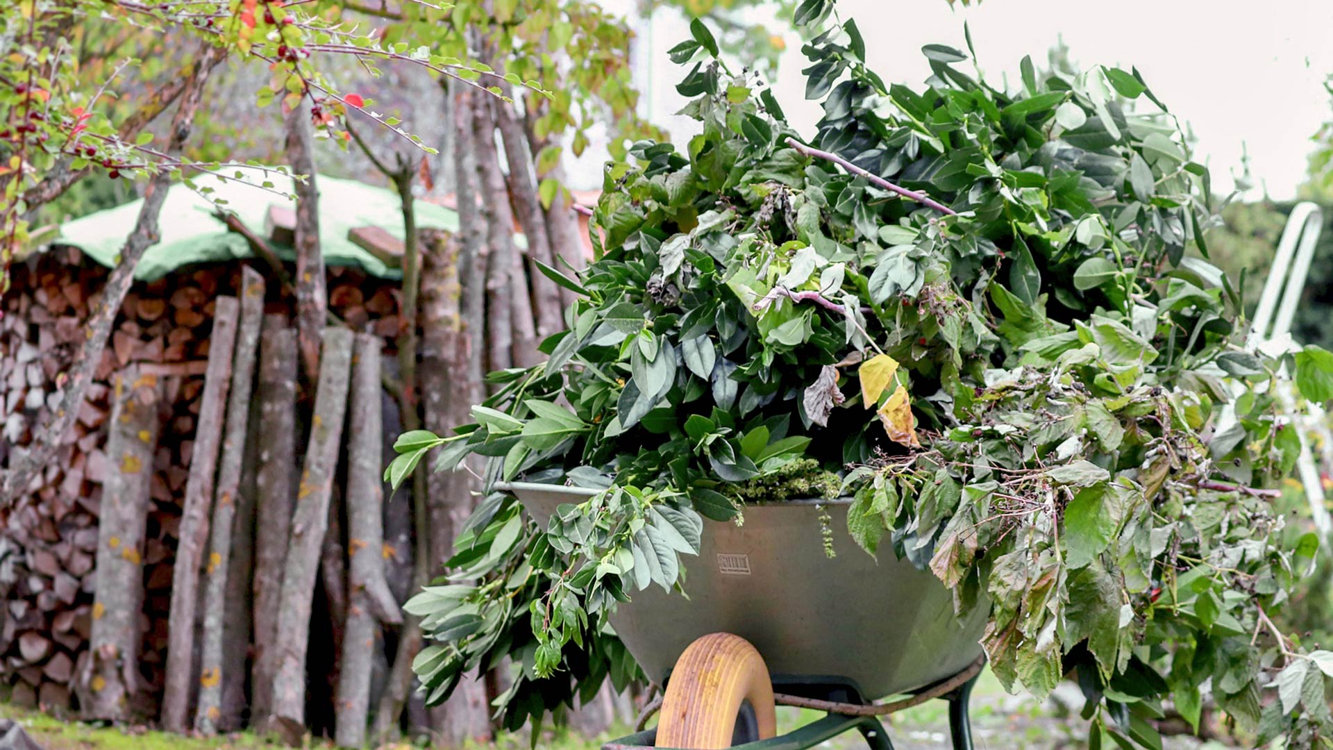 Gartenabfall