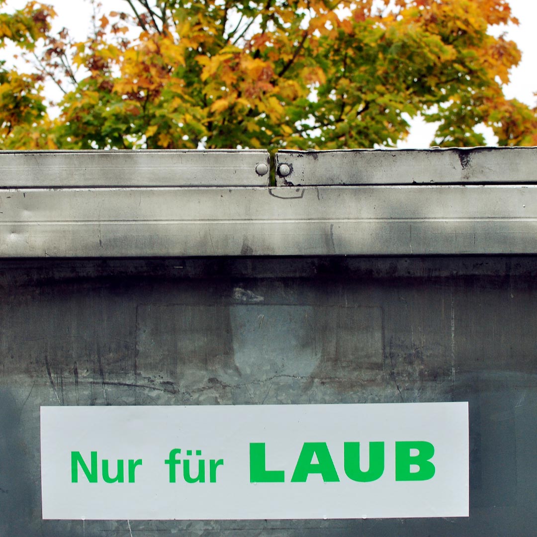 Laubsammlung 