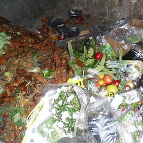 ILLEGALE MÜLLENTSORGUNG AN CONTAINERSTANDPLÄTZEN