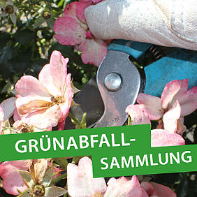 GRÜNABFALLSAMMELAKTION AM EUV-RECYCLINGHOF