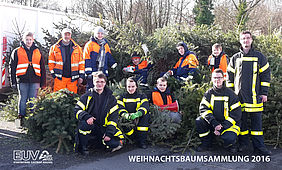 WEIHNACHTSBAUMSAMMLUNG 2016