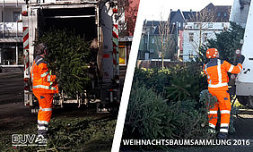 WEIHNACHTSBAUMSAMMLUNG 2016