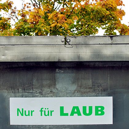 Laubsammlung 